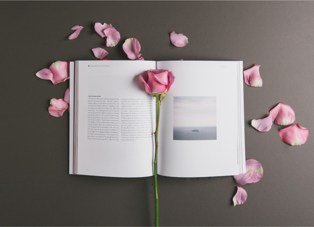 Buku dikelilingi daun bunga dan di atas terdapat rose