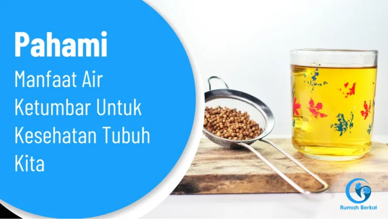 Pahami Manfaat Air Ketumbar untuk Kesehatan Tubuh Kita